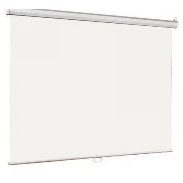 Экран для проектора Lumien Eco Picture LEP-100115 настенно-потолочный